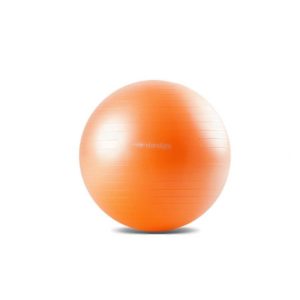 Bola de Exercícios 55cm – FL13a